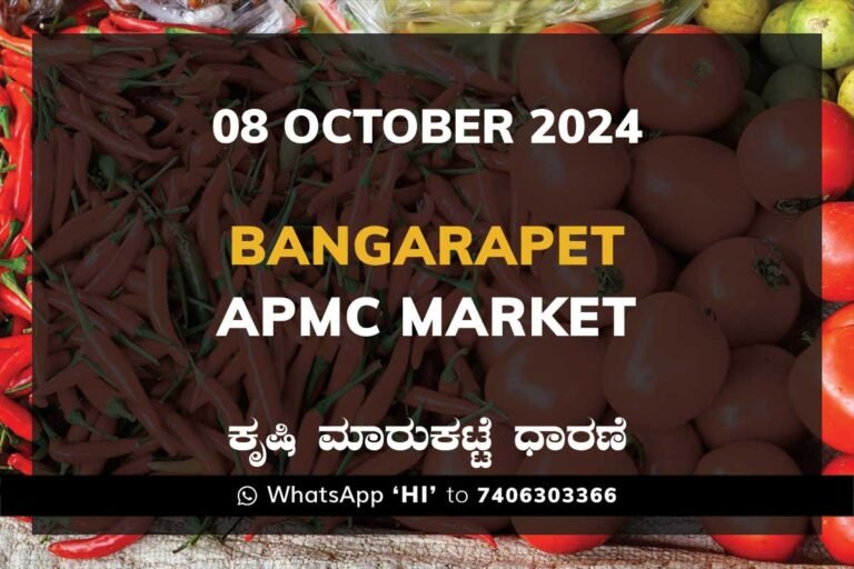 Bangarapet APMC Agriculture Market ಬಂಗಾರಪೇಟೆ ಕೃಷಿ ಮಾರುಕಟ್ಟೆ ಧಾರಣೆ