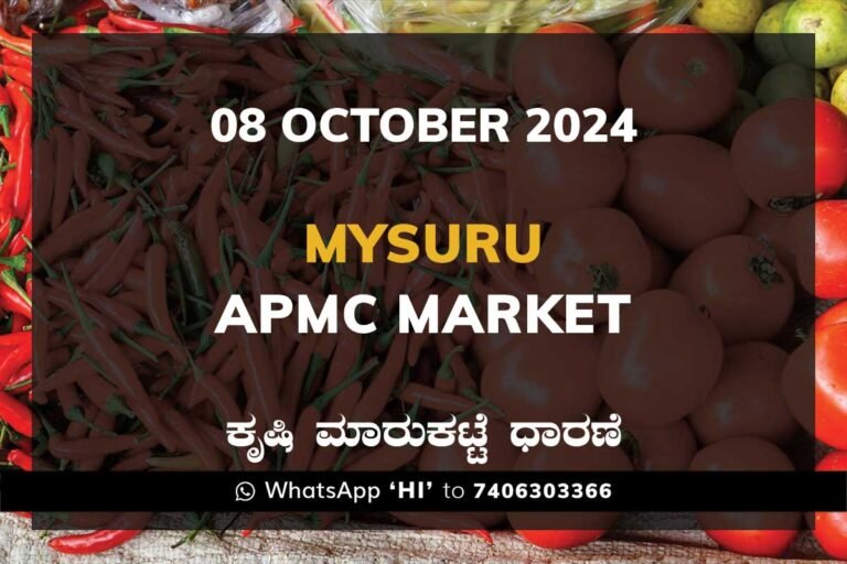Mysuru Mysore APMC Agriculture Market ಮೈಸೂರು ಕೃಷಿ ಮಾರುಕಟ್ಟೆ ಧಾರಣೆ