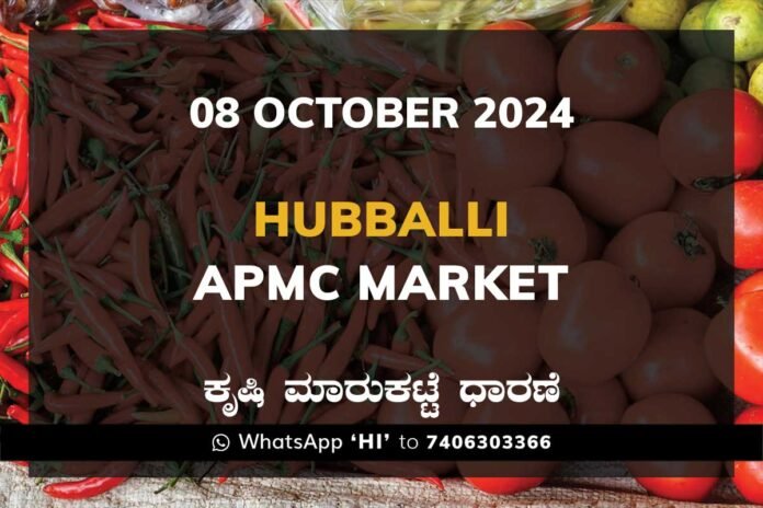 08Oct24ji Hubballi Hubli APMC Agriculture Market ಹುಬ್ಬಳ್ಳಿ ಕೃಷಿ ಮಾರುಕಟ್ಟೆ ಧಾರಣೆ