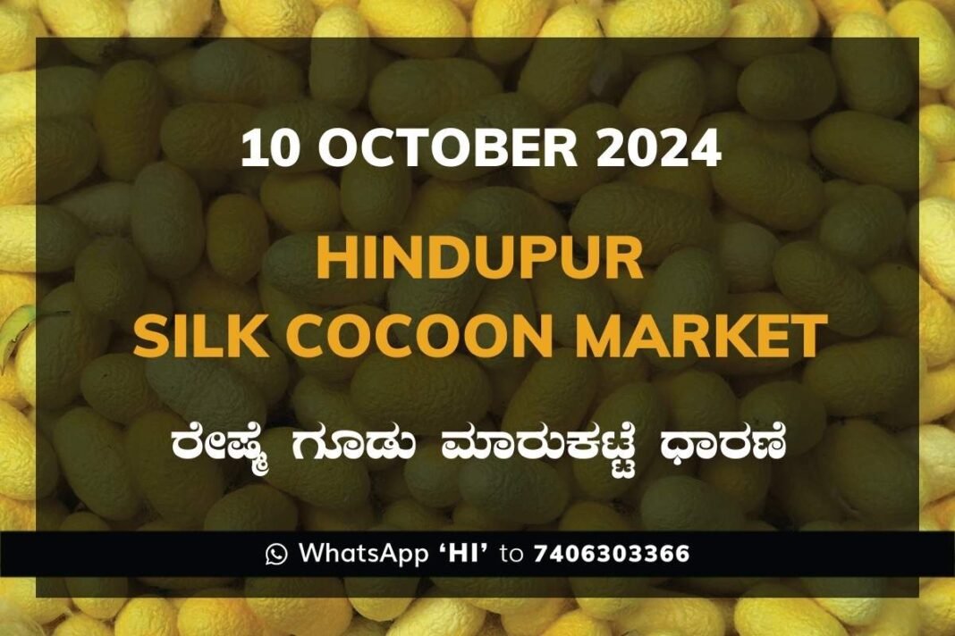 Hindupur Government Silk Cocoon Market Daily Rate Report ಹಿಂದೂಪುರ ರೇಷ್ಮೆ ಗೂಡು ಮಾರುಕಟ್ಟೆ ಧಾರಣೆ