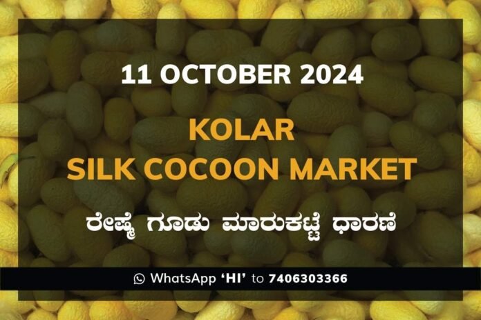 Kolar Silk Cocoon Market Price Rate ಕೋಲಾರ ರೇಷ್ಮೆ ಗೂಡು ಮಾರುಕಟ್ಟೆ ಧಾರಣೆ