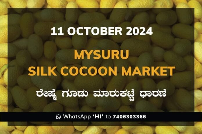 Mysuru Mysore Silk Cocoon Market Price Rate ಮೈಸೂರು ರೇಷ್ಮೆ ಗೂಡು ಮಾರುಕಟ್ಟೆ ಧಾರಣೆ