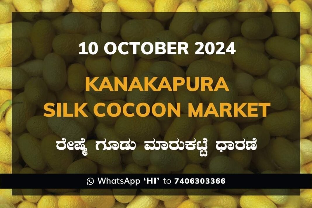 Kanakapura Silk Cocoon Market ಕನಕಪುರ ರೇಷ್ಮೆ ಗೂಡು ಮಾರುಕಟ್ಟೆ ಧಾರಣೆ