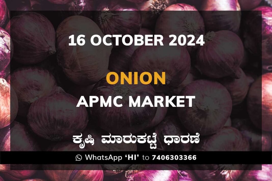 Onion Price APMC Market: 16 October 2024