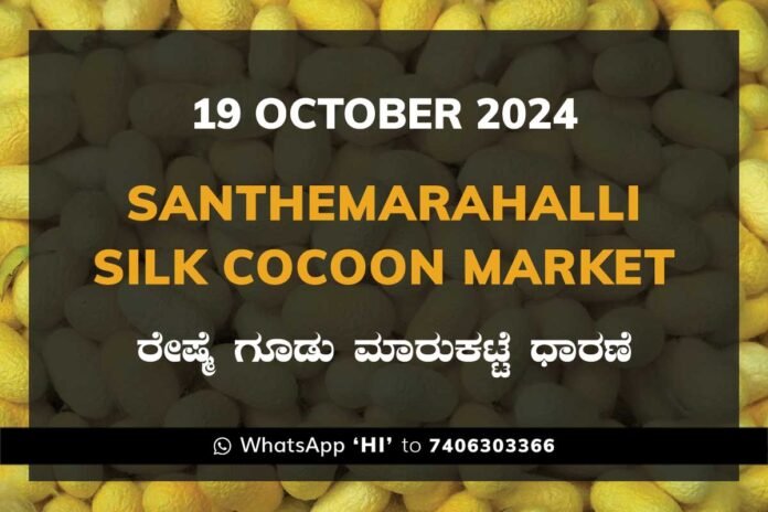 Silk Santhemarahalli Santemarahalli Government Cocoon Market ಸಂತೇಮರಹಳ್ಳಿ ರೇಷ್ಮೆ ಗೂಡು ಮಾರುಕಟ್ಟೆ ಧಾರಣೆ