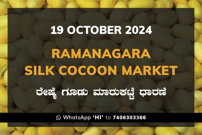 Ramanagara Silk Cocoon Market ರಾಮನಗರ ರೇಷ್ಮೆ ಗೂಡು ಮಾರುಕಟ್ಟೆ ಧಾರಣೆ