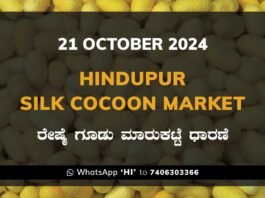 Hindupur Government Silk Cocoon Market Daily Rate Report ಹಿಂದೂಪುರ ರೇಷ್ಮೆ ಗೂಡು ಮಾರುಕಟ್ಟೆ ಧಾರಣೆ