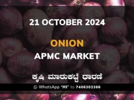 Onion Price APMC Market: 21 October 2024