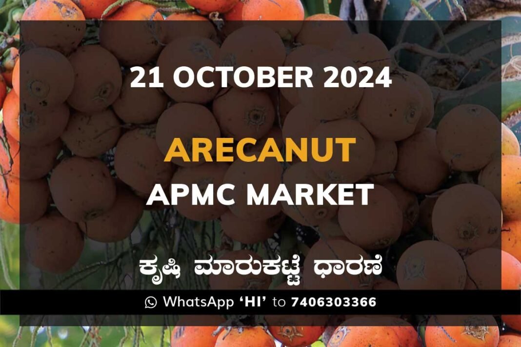 Arecanut Price APMC Market: 21 October 2024