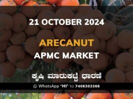 Arecanut Price APMC Market: 21 October 2024