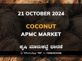 Coconut Price APMC Market: 21 October 2024