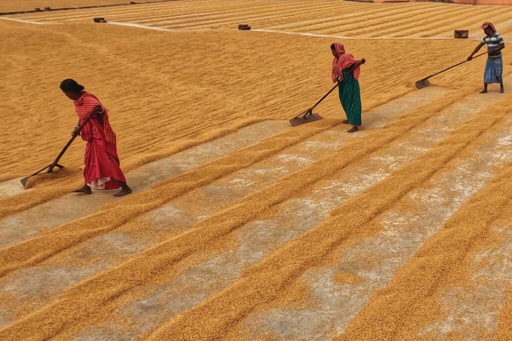 Proposal to Setup Desi Seed Bank in Karnataka