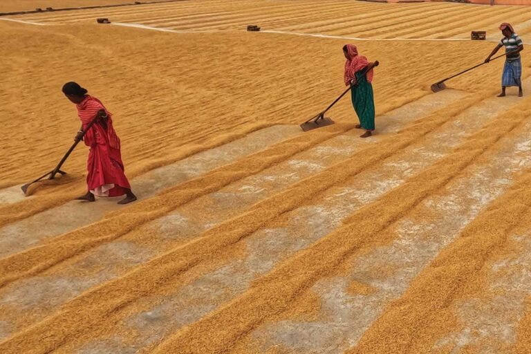 Proposal to Setup Desi Seed Bank in Karnataka