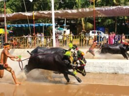 Bengaluru Kambala