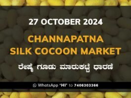 Channapatna Silk Cocoon Market Price Rate ಚನ್ನಪಟ್ಟಣ ರೇಷ್ಮೆ ಗೂಡು ಮಾರುಕಟ್ಟೆ ಧಾರಣೆ