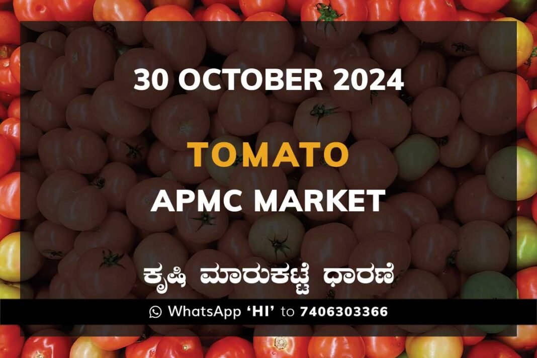 Tomato Karnataka APMC Agriculture Market Daily Price Report ಟೊಮ್ಯಾಟೊ ಕೃಷಿ ಮಾರುಕಟ್ಟೆ ಧಾರಣೆ