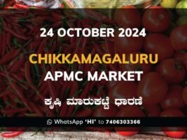 Chikkamagaluru APMC Agriculture Market ಚಿಕ್ಕಮಗಳೂರು ಕೃಷಿ ಮಾರುಕಟ್ಟೆ ಧಾರಣೆ