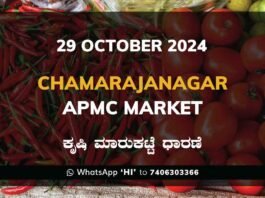 Chamarajanagar APMC Agriculture Market Daily Price Report ಚಾಮರಾಜನಗರ ಕೃಷಿ ಮಾರುಕಟ್ಟೆ ಧಾರಣೆ