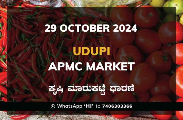 Udupi APMC Agriculture Market Daily Price Report ಉಡುಪಿ ಕೃಷಿ ಮಾರುಕಟ್ಟೆ ಧಾರಣೆ