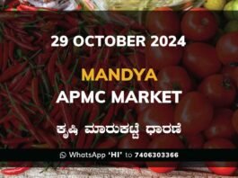 Mandya APMC Agriculture Market Daily Price Rate List ಮಂಡ್ಯ ಕೃಷಿ ಮಾರುಕಟ್ಟೆ ಧಾರಣೆ