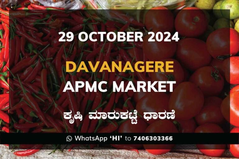 Davanagere APMC Agriculture Market Daily Price Rate List ದಾವಣಗೆರೆ ಕೃಷಿ ಮಾರುಕಟ್ಟೆ ಧಾರಣೆ