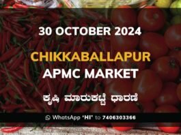 Chikkaballapur APMC Agriculture Market Daily Price Report ಚಿಕ್ಕಬಳ್ಳಾಪುರ ಕೃಷಿ ಮಾರುಕಟ್ಟೆ ಧಾರಣೆ