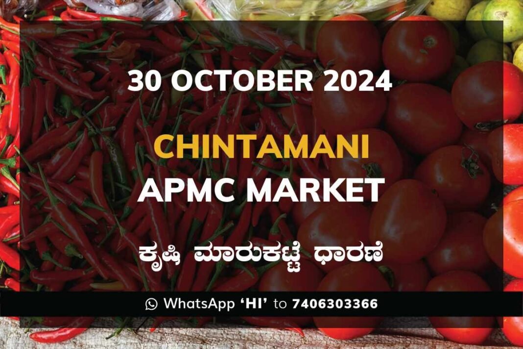 Chintamani APMC Agriculture Market Daily Price Rate List ಚಿಂತಾಮಣಿ ಕೃಷಿ ಮಾರುಕಟ್ಟೆ ಧಾರಣೆ