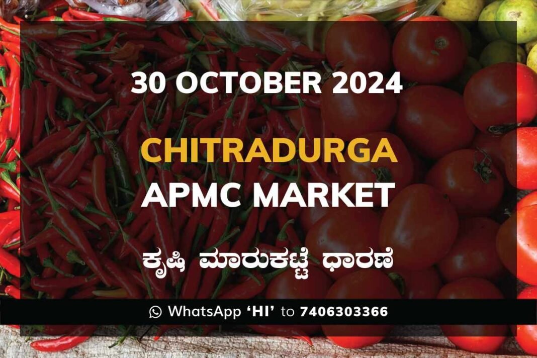 Chitradurga APMC Agriculture Market Daily Price Report ಚಿತ್ರದುರ್ಗ ಕೃಷಿ ಮಾರುಕಟ್ಟೆ ಧಾರಣೆ