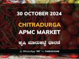 Chitradurga APMC Agriculture Market Daily Price Report ಚಿತ್ರದುರ್ಗ ಕೃಷಿ ಮಾರುಕಟ್ಟೆ ಧಾರಣೆ