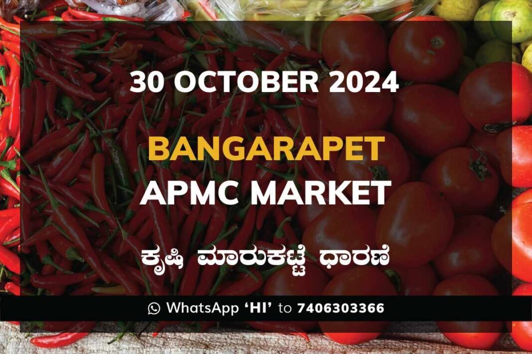 Bangarapet APMC Agriculture Market Daily Price Report ಬಂಗಾರಪೇಟೆ ಕೃಷಿ ಮಾರುಕಟ್ಟೆ ಧಾರಣೆ