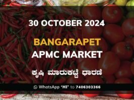 Bangarapet APMC Agriculture Market Daily Price Report ಬಂಗಾರಪೇಟೆ ಕೃಷಿ ಮಾರುಕಟ್ಟೆ ಧಾರಣೆ