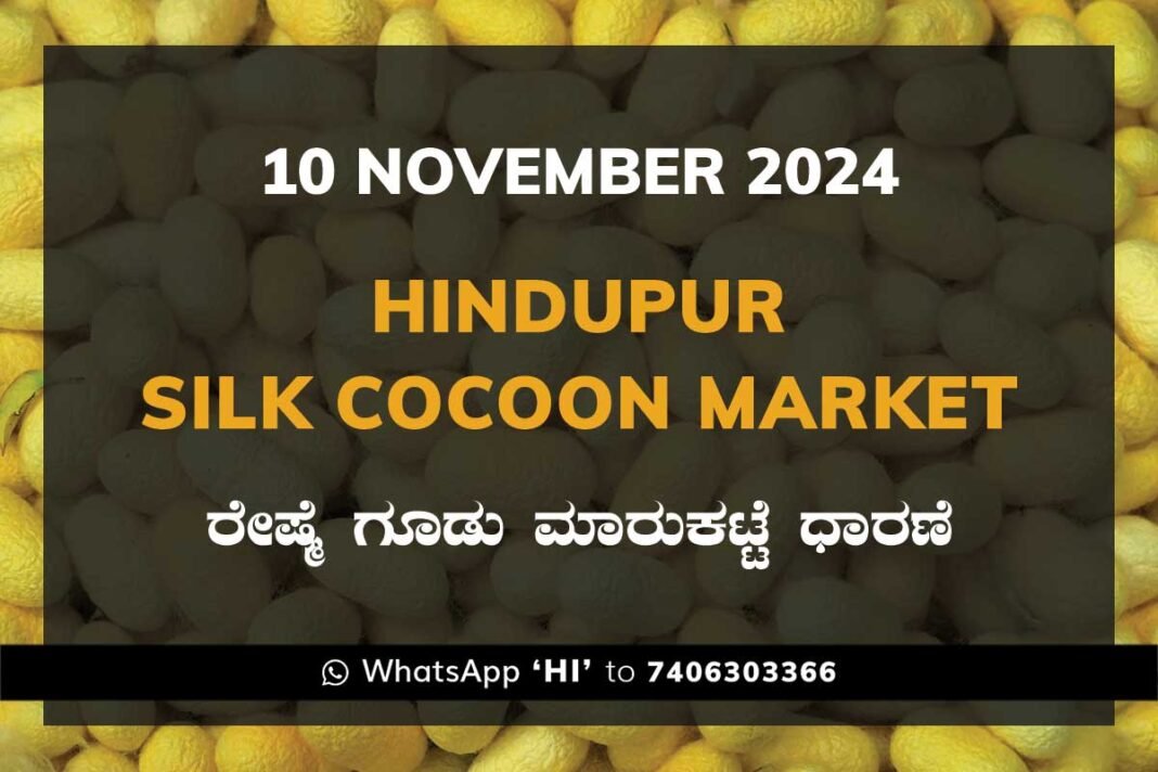 Hindupur Government Silk Cocoon Market Daily Rate Report ಹಿಂದೂಪುರ ರೇಷ್ಮೆ ಗೂಡು ಮಾರುಕಟ್ಟೆ ಧಾರಣೆ