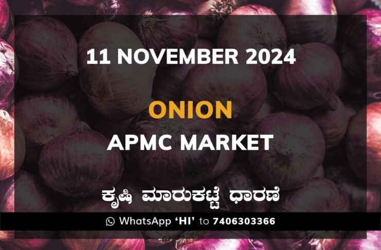 Onion Karnataka APMC Agriculture Market Daily Price Report ಈರುಳ್ಳಿ ಕೃಷಿ ಮಾರುಕಟ್ಟೆ ಧಾರಣೆ