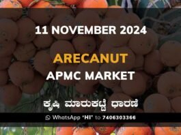 Arecanut Karnataka APMC Agriculture Market Daily Price Report ಅಡಿಕೆ ಕೃಷಿ ಮಾರುಕಟ್ಟೆ ಧಾರಣೆ