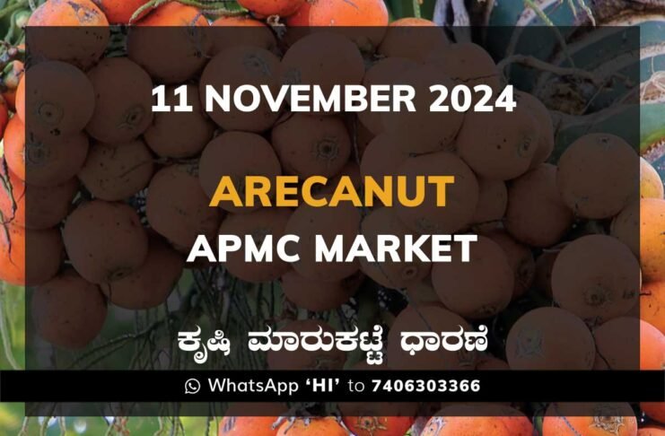 Arecanut Karnataka APMC Agriculture Market Daily Price Report ಅಡಿಕೆ ಕೃಷಿ ಮಾರುಕಟ್ಟೆ ಧಾರಣೆ