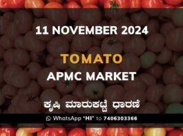 Tomato Karnataka APMC Agriculture Market Daily Price Report ಟೊಮ್ಯಾಟೊ ಕೃಷಿ ಮಾರುಕಟ್ಟೆ ಧಾರಣೆ