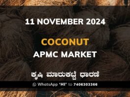 Coconut Karnataka APMC Agriculture Market Daily Price Report ತೆಂಗಿನಕಾಯಿ ಕೃಷಿ ಮಾರುಕಟ್ಟೆ ಧಾರಣೆ