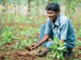 Pradhan Mantri Kisan Yojana