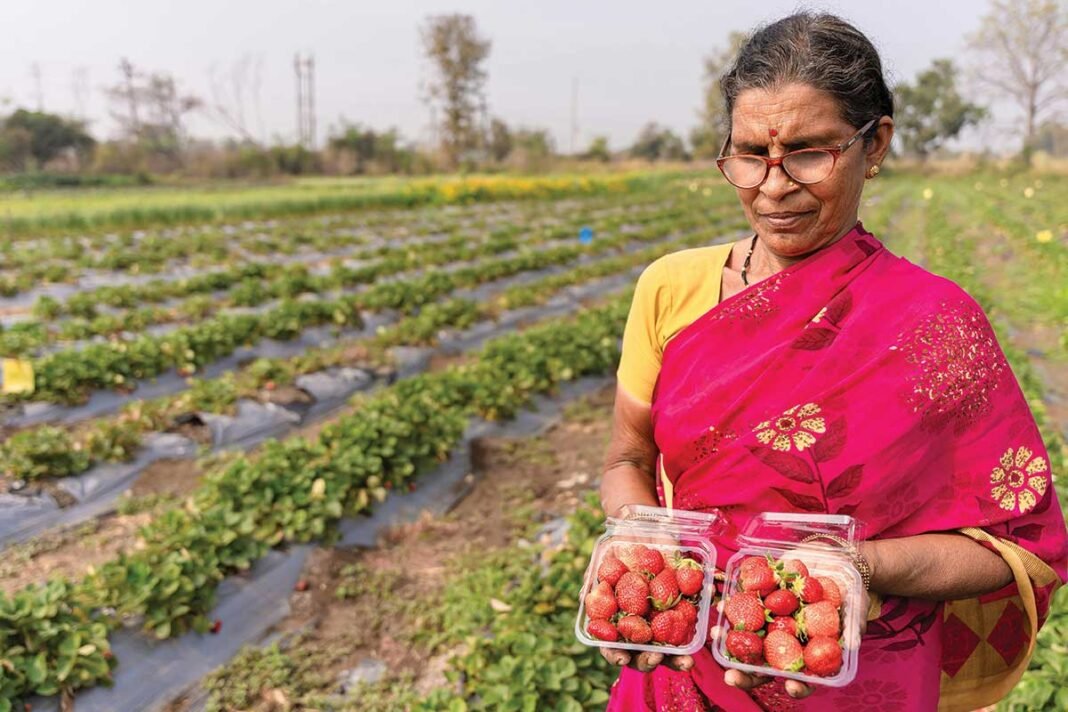 HDFC Bank Smart Parivartan Sustainable Agriculture