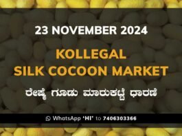 Kollegal Silk Cocoon Market Price Rate ಕೊಳ್ಳೇಗಾಲ ರೇಷ್ಮೆ ಗೂಡು ಮಾರುಕಟ್ಟೆ ಧಾರಣೆ