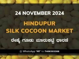 Hindupur Government Silk Cocoon Market Daily Rate Report ಹಿಂದೂಪುರ ರೇಷ್ಮೆ ಗೂಡು ಮಾರುಕಟ್ಟೆ ಧಾರಣೆ