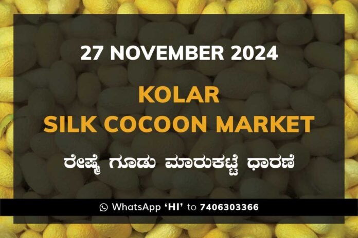 27Nov24Kf Kolar Silk Cocoon Market Price Rate ಕೋಲಾರ ರೇಷ್ಮೆ ಗೂಡು ಮಾರುಕಟ್ಟೆ ಧಾರಣೆ