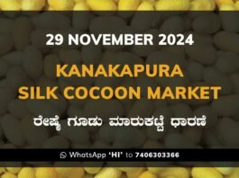 Kanakapura Silk Cocoon Market ಕನಕಪುರ ರೇಷ್ಮೆ ಗೂಡು ಮಾರುಕಟ್ಟೆ ಧಾರಣೆ