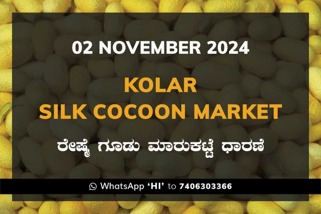 Kolar Silk Cocoon Market Price Rate ಕೋಲಾರ ರೇಷ್ಮೆ ಗೂಡು ಮಾರುಕಟ್ಟೆ ಧಾರಣೆ