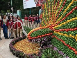 Cubbon Park​​ Flower show