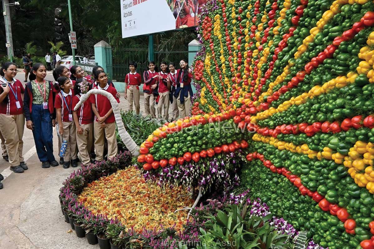 Cubbon Park​​ Flower show