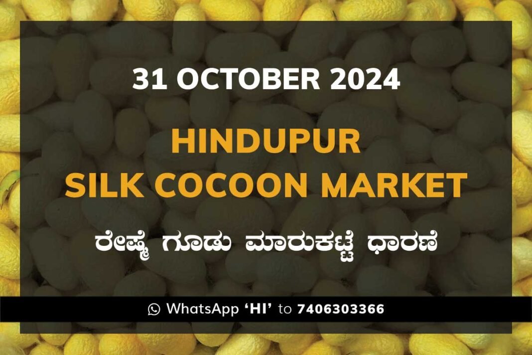 Hindupur Government Silk Cocoon Market Daily Rate Report ಹಿಂದೂಪುರ ರೇಷ್ಮೆ ಗೂಡು ಮಾರುಕಟ್ಟೆ ಧಾರಣೆ