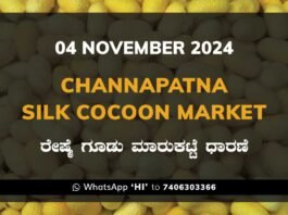 Channapatna Silk Cocoon Market Price Rate ಚನ್ನಪಟ್ಟಣ ರೇಷ್ಮೆ ಗೂಡು ಮಾರುಕಟ್ಟೆ ಧಾರಣೆ