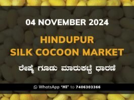 Hindupur Government Silk Cocoon Market Daily Rate Report ಹಿಂದೂಪುರ ರೇಷ್ಮೆ ಗೂಡು ಮಾರುಕಟ್ಟೆ ಧಾರಣೆ