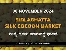 Sidlaghatta Silk Cocoon Market Price Rate ಶಿಡ್ಲಘಟ್ಟ ರೇಷ್ಮೆ ಗೂಡು ಮಾರುಕಟ್ಟೆ ಧಾರಣೆ